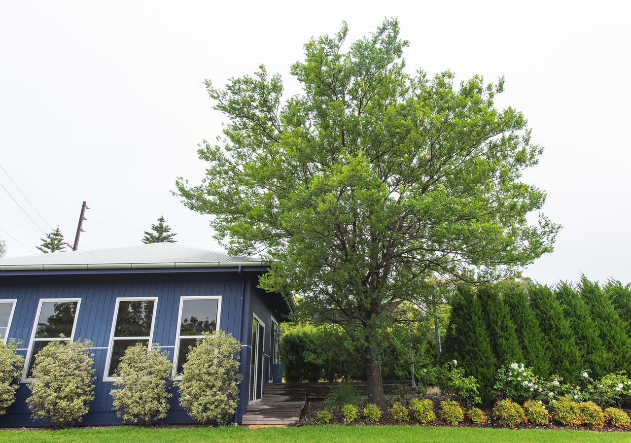 Ferienwohnung S T U D I O 22 Peaceful Retreat With Garden Views Port Lincoln Exterior foto